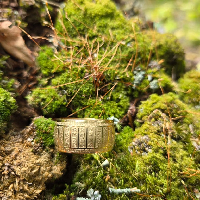 Asia - Ring